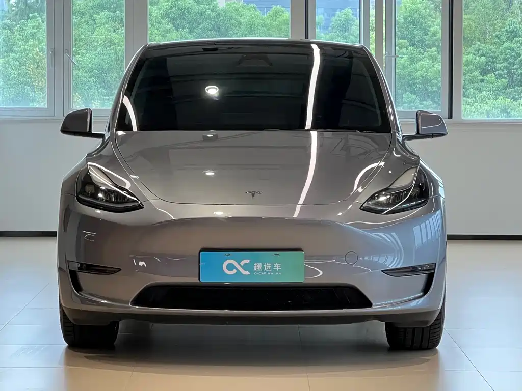Tesla Model Y — миниатюра 2