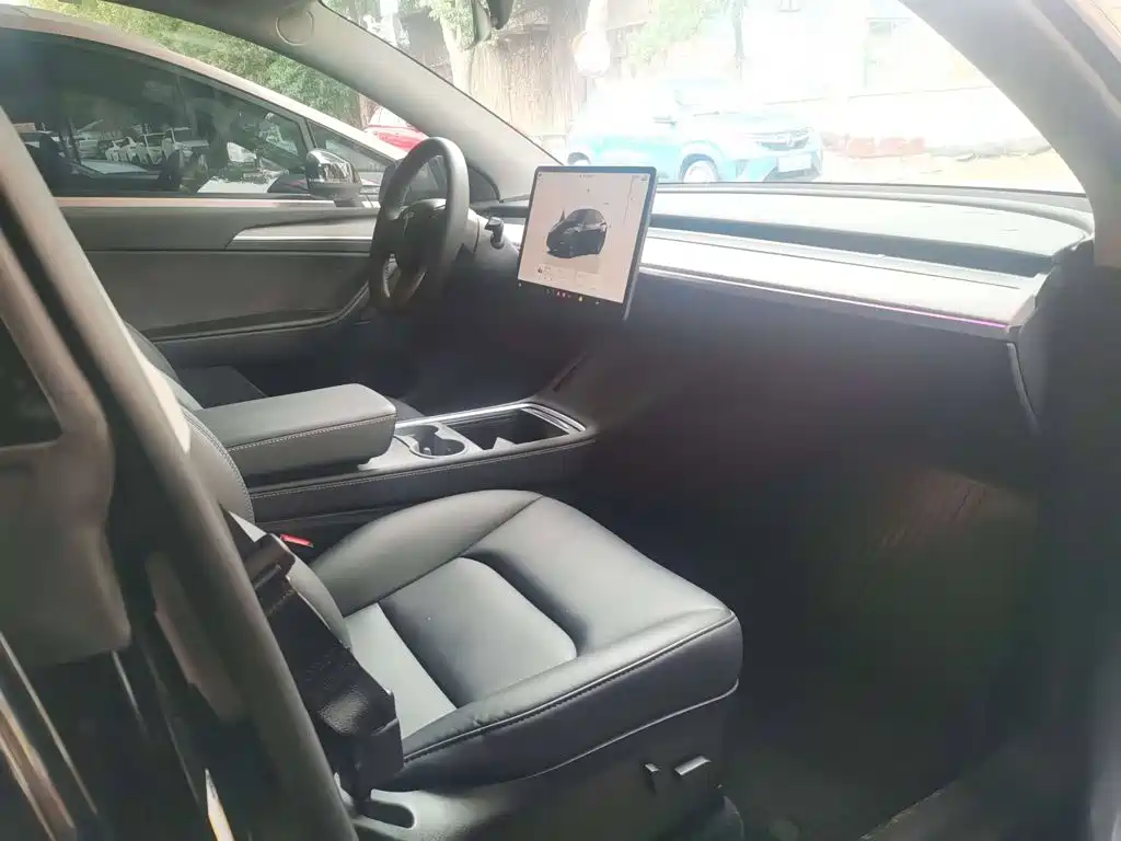 Tesla Model Y — миниатюра 8