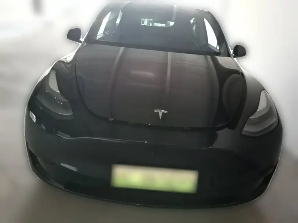 Tesla Model Y — миниатюра 5