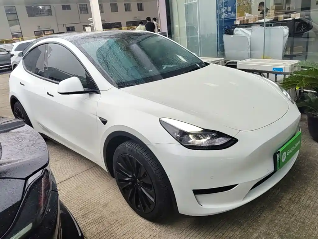 Tesla Model Y — миниатюра 4