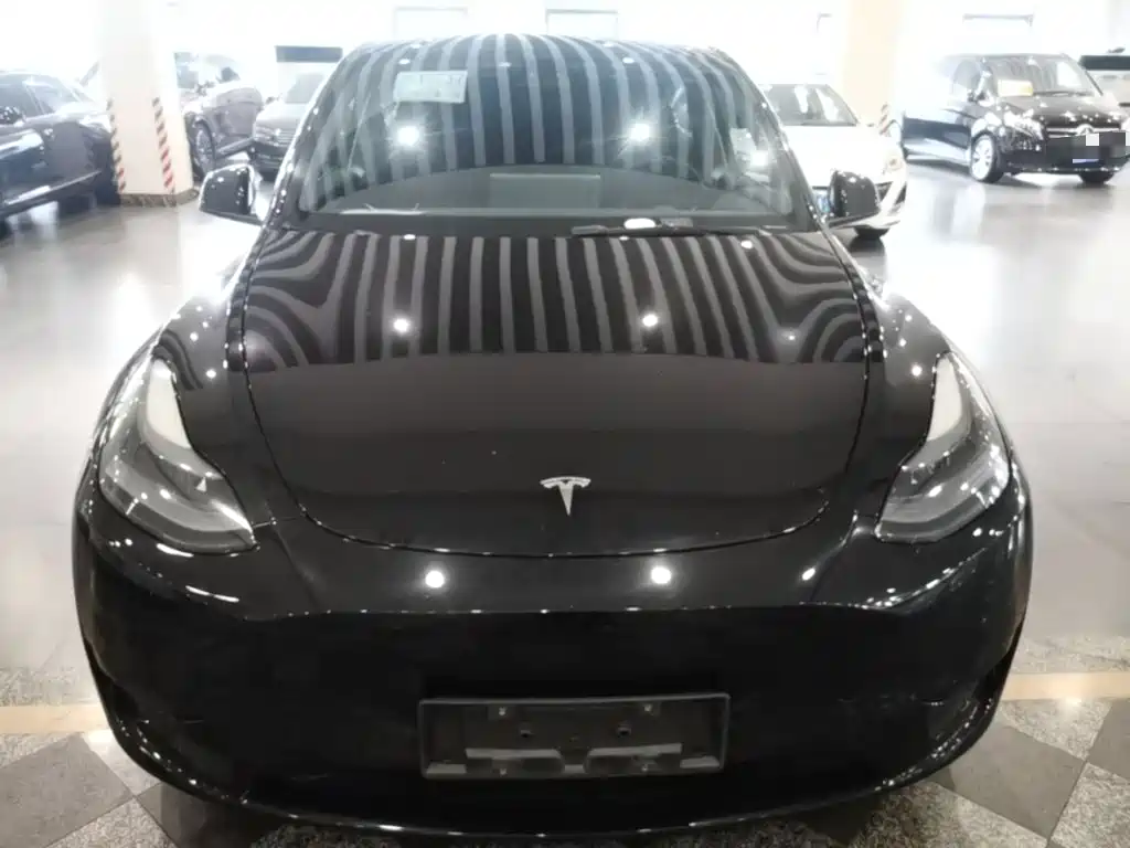 Tesla Model Y — миниатюра 3