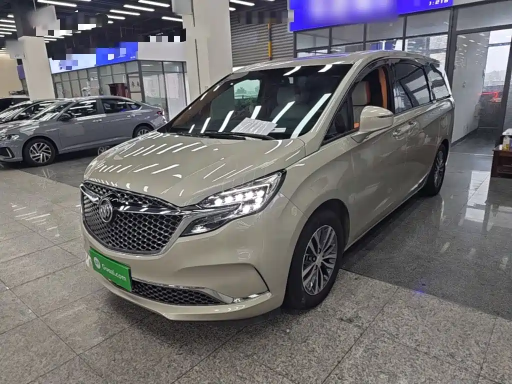Buick GL8 — миниатюра 2