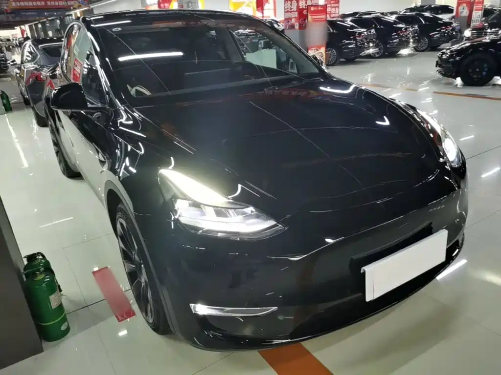 Tesla Model Y — миниатюра 4