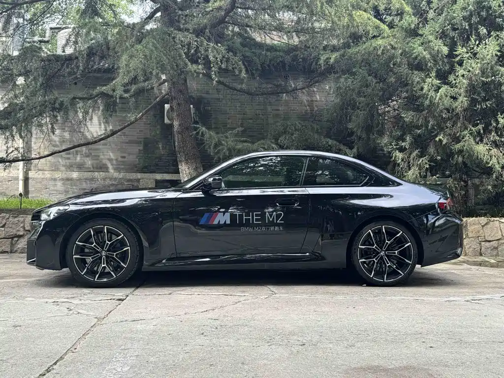 BMW M2 M2, фото 9