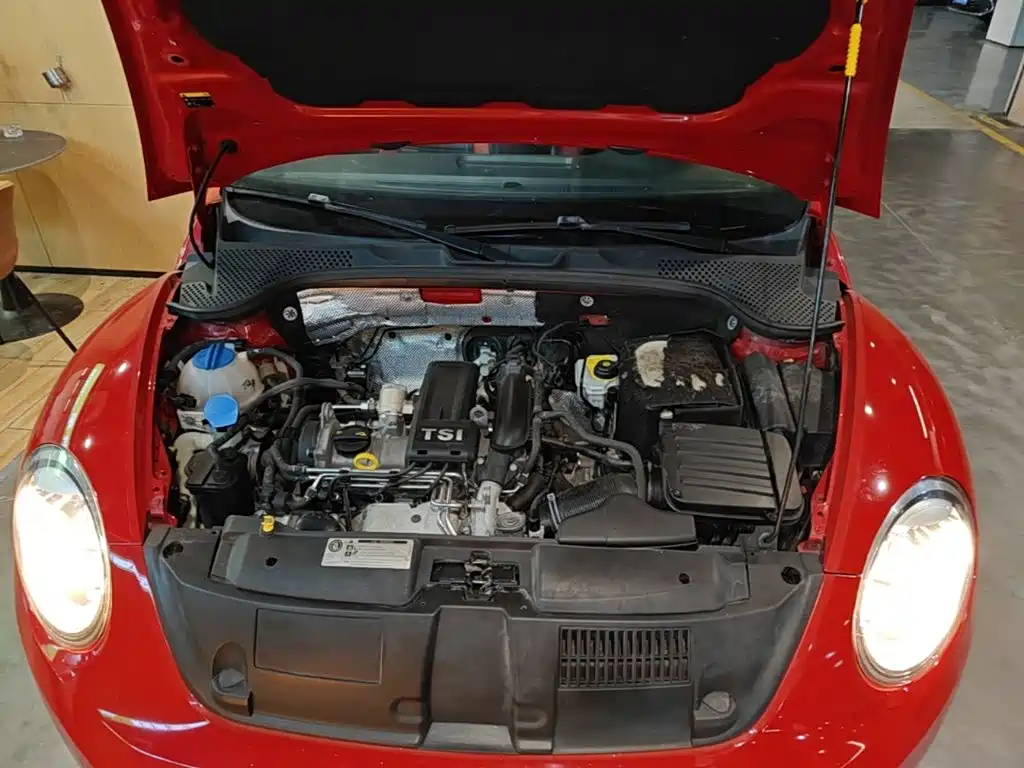 Volkswagen Beetle — миниатюра 20