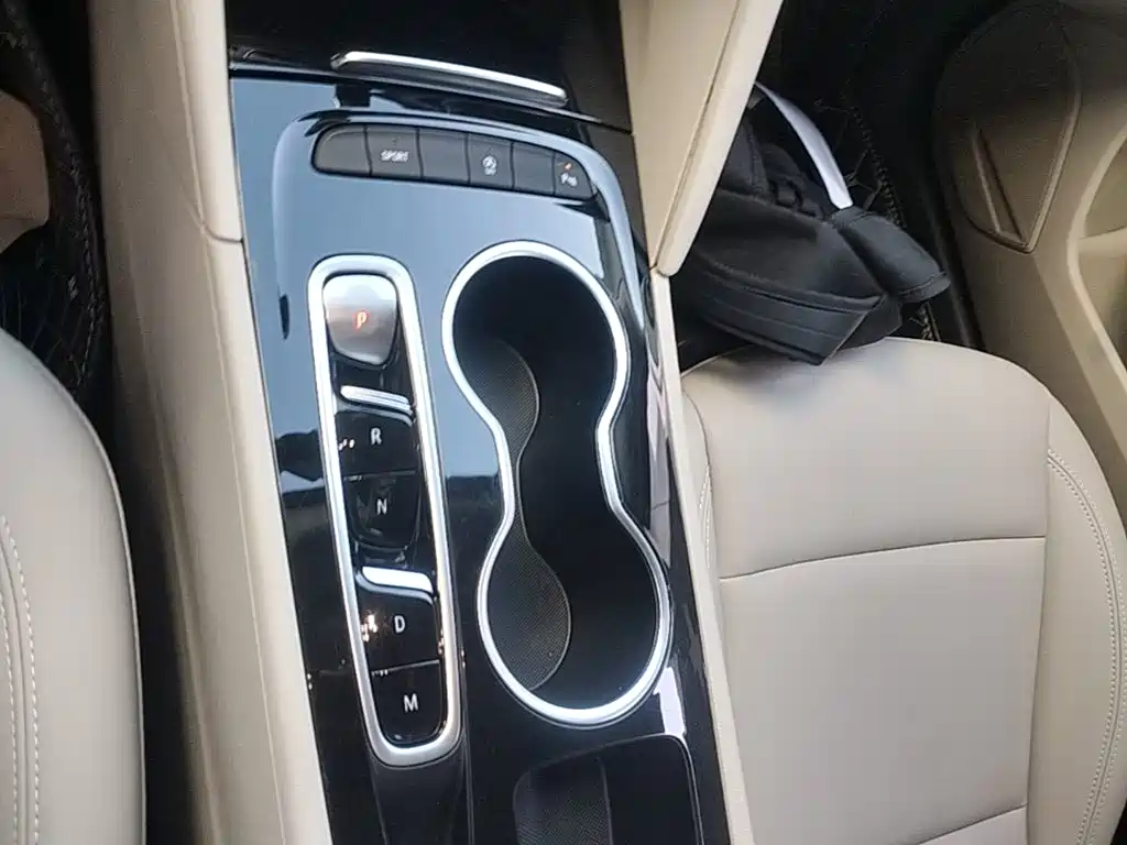 Buick Regal — миниатюра 14
