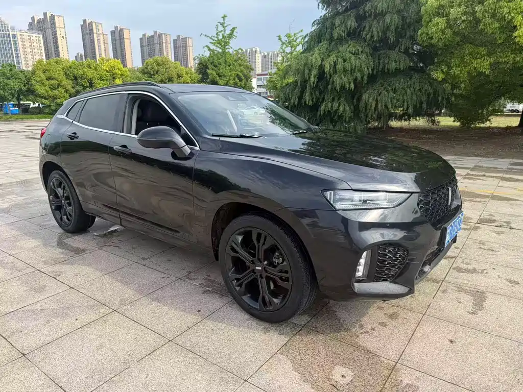 Купить Wey Wey VV7