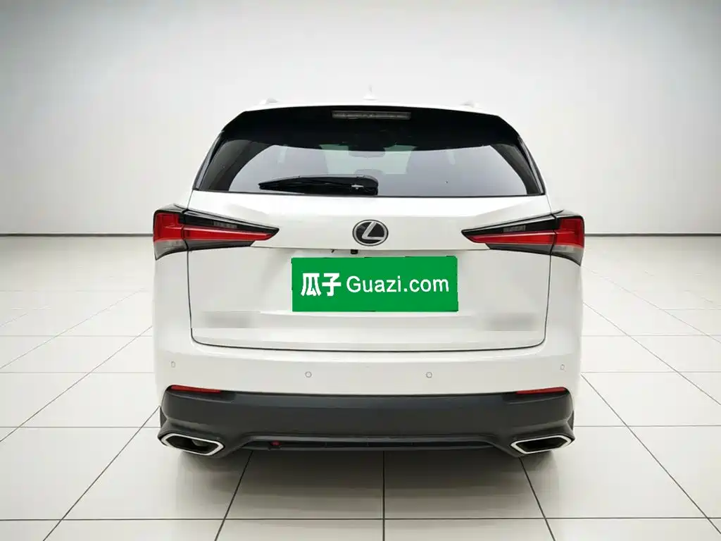 Lexus NX — миниатюра 5