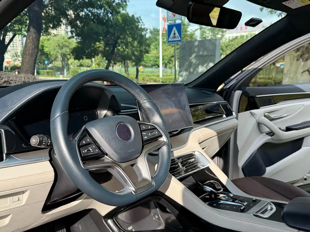 BYD PLUS New Energy — миниатюра 5