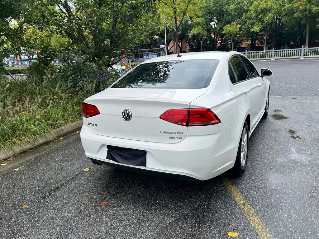 Volkswagen Lamando — миниатюра 7
