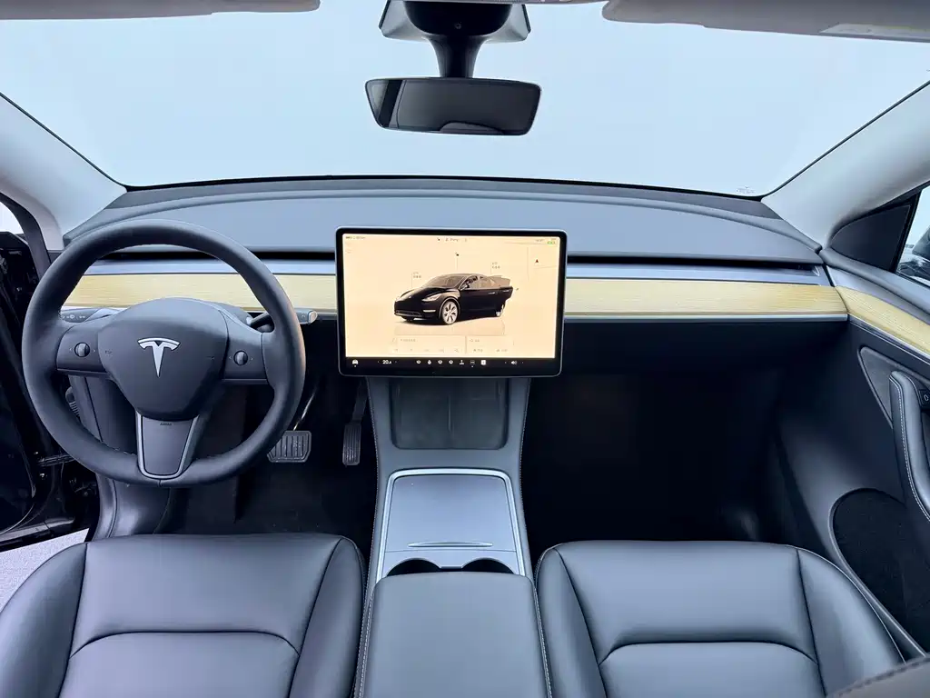 Tesla Model Y — миниатюра 6