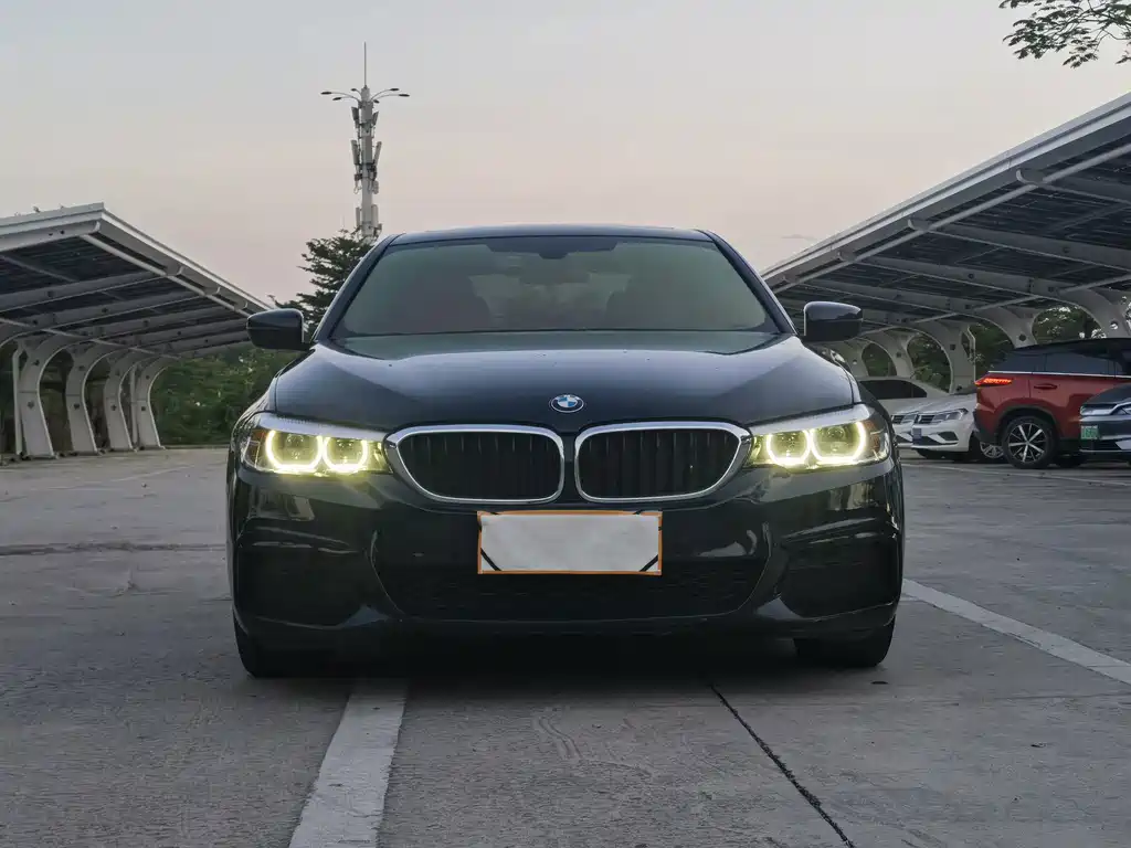 BMW 5 Series (Import) — миниатюра 2