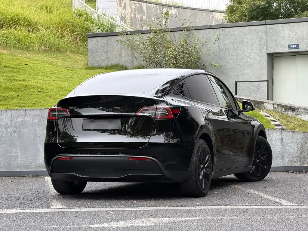 Tesla Model Y — миниатюра 7