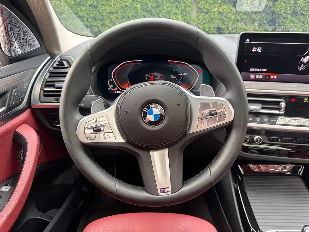 BMW X3 — миниатюра 13