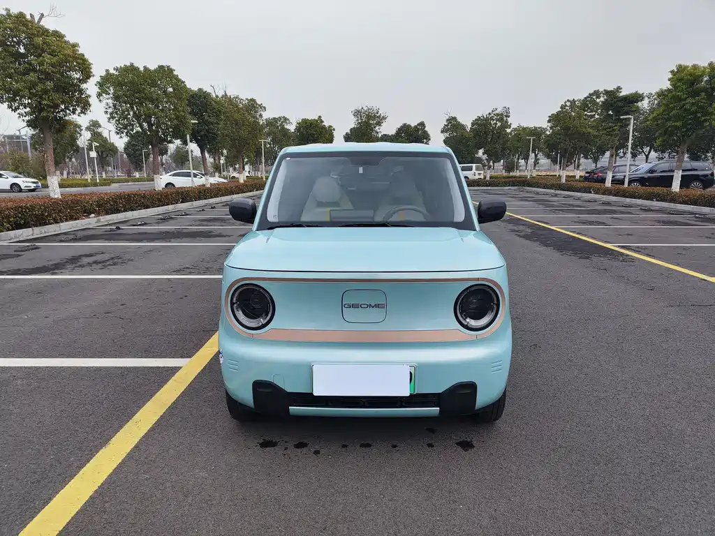 GEELY GALAXY PANDA