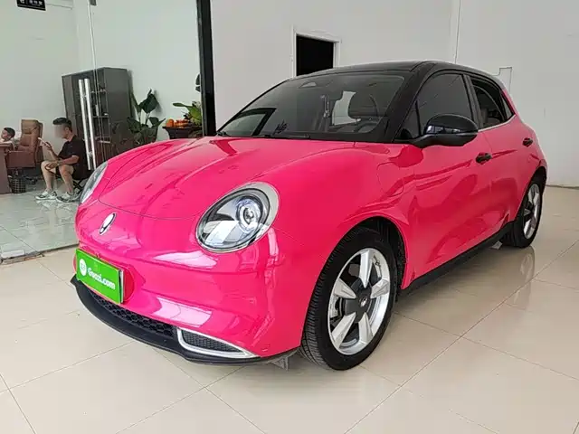 2023 Ora Good Cat