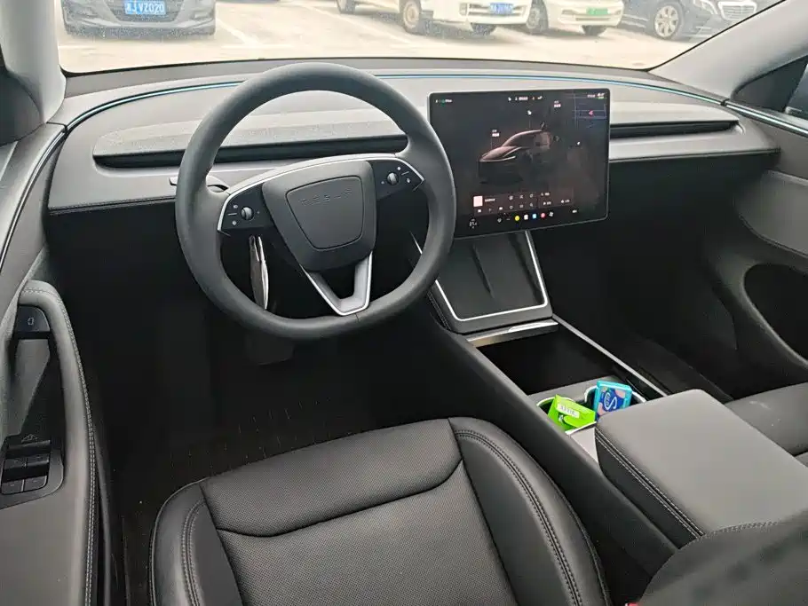 Tesla Model Y — миниатюра 12
