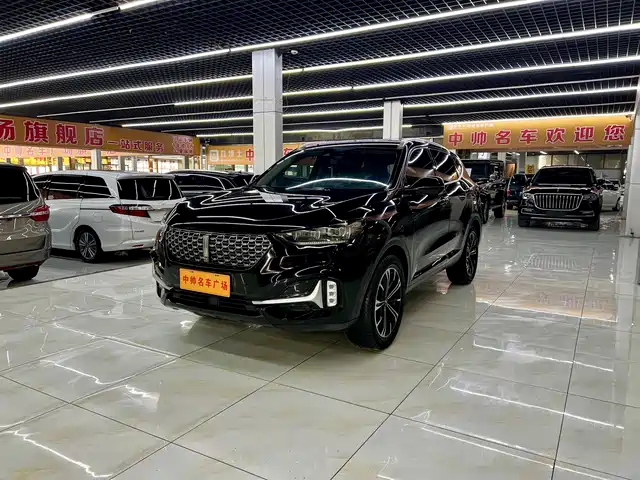 WEI PAI WEI BRAND VV6