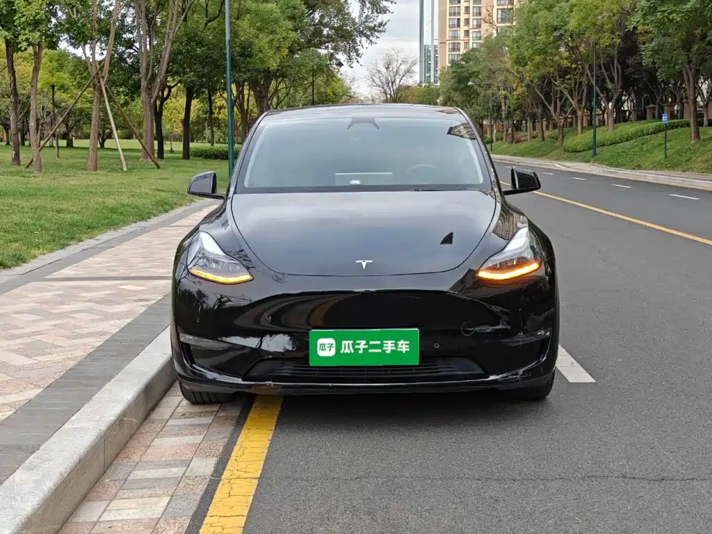 Tesla Model Y — миниатюра 3