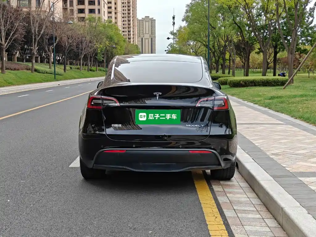 Tesla Model Y — миниатюра 6