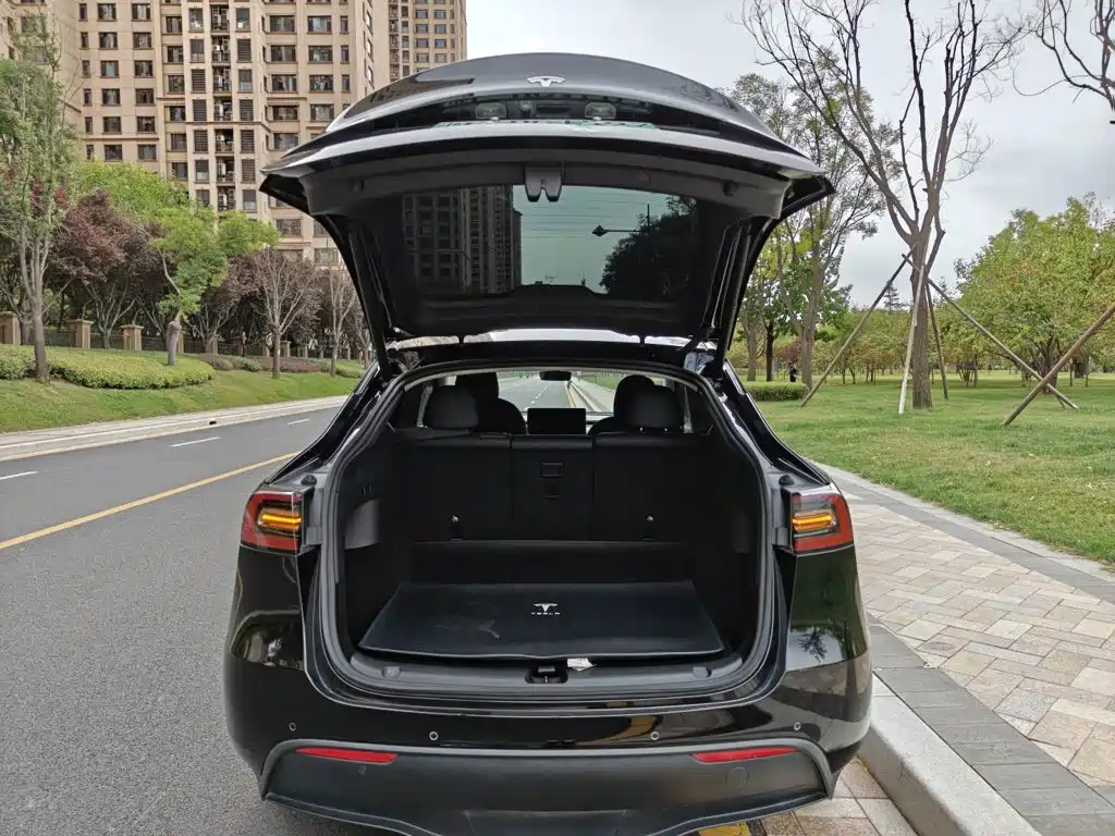 Tesla Model Y — миниатюра 19