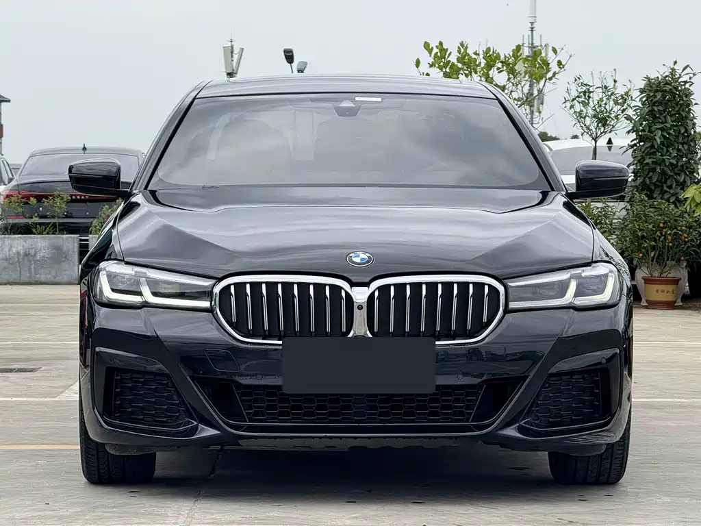 BMW 5 Series — миниатюра 2