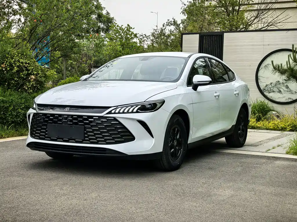 Byd Qin PLUS 2026