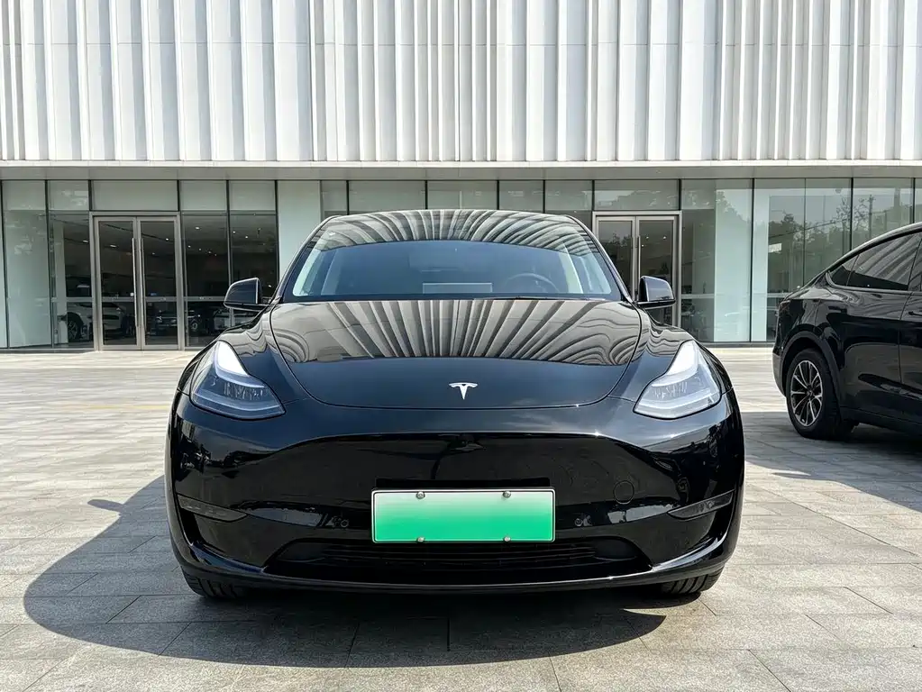 Tesla Model Y — миниатюра 2