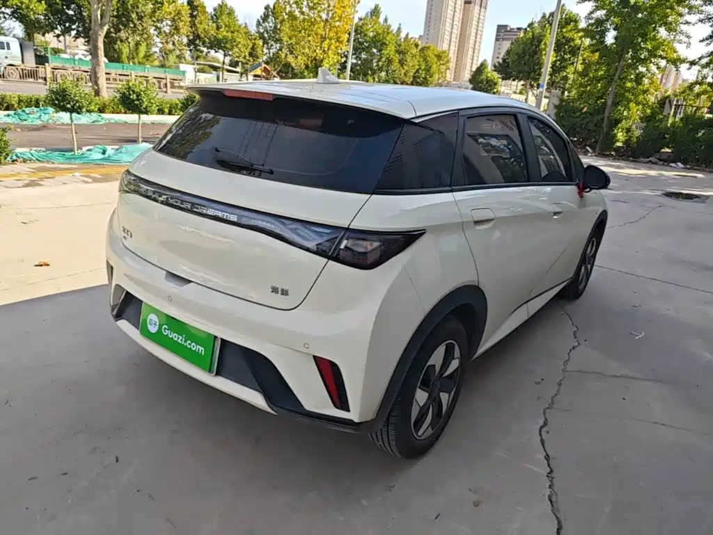 BYD Dolphin — миниатюра 5