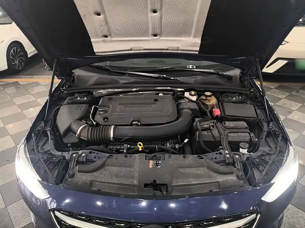 Buick Regal — миниатюра 20