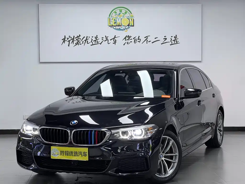 BMW 5 Series 5 2020 525Li M Sport