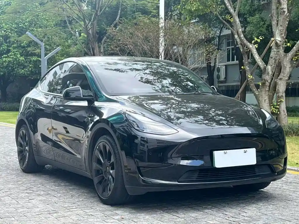 Tesla Model Y — миниатюра 4