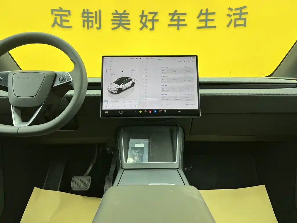 Tesla Model Y — миниатюра 47