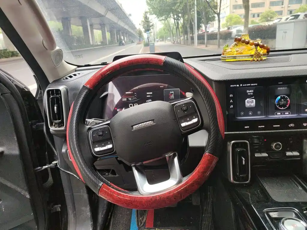 Haval 长城大狗 — миниатюра 6