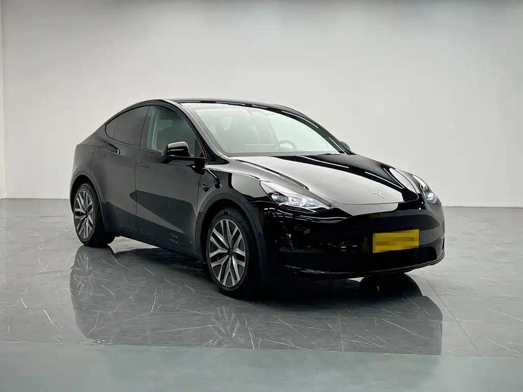 Tesla Model Y — миниатюра 8