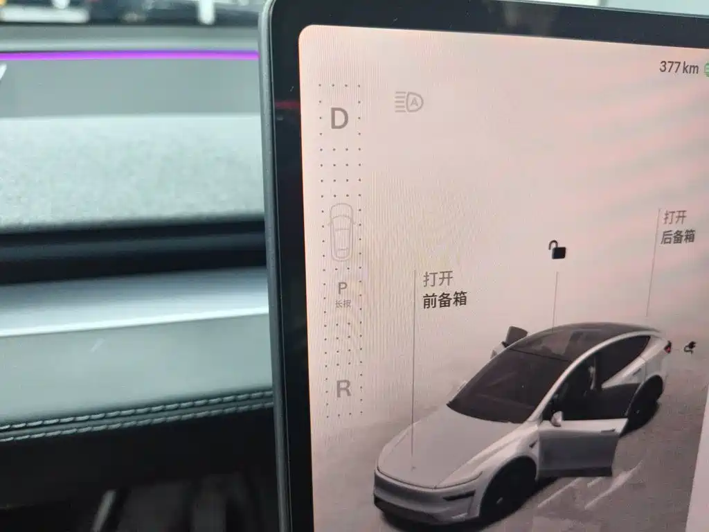 Tesla Model Y — миниатюра 10