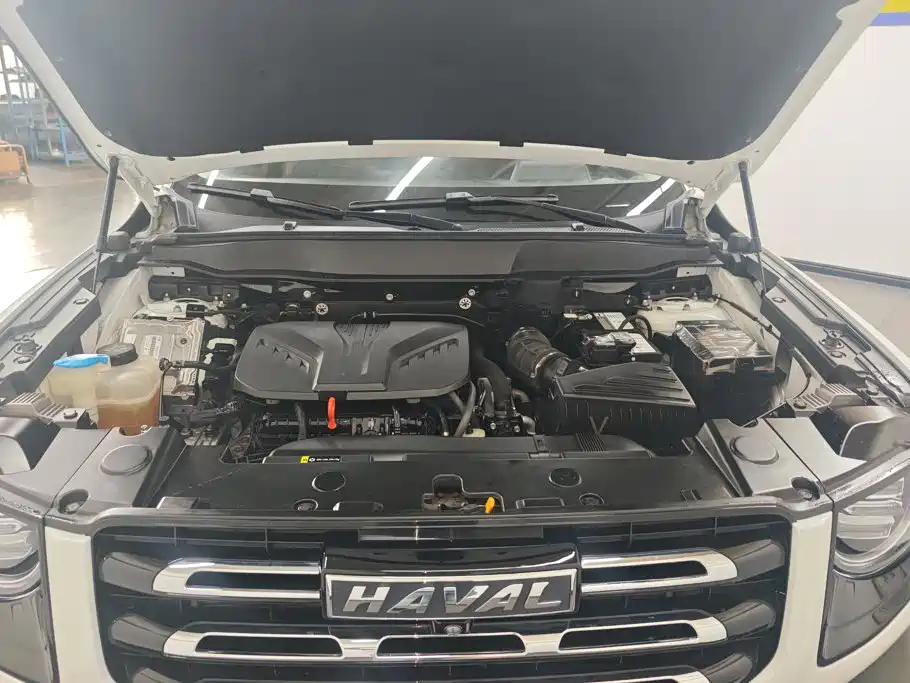 Haval Big Dog — миниатюра 10