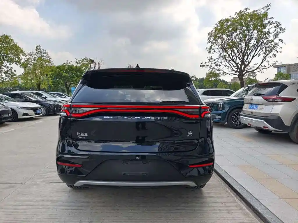 BYD Tang New Energy — миниатюра 4