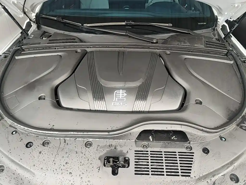 BYD Tang New Energy — миниатюра 20