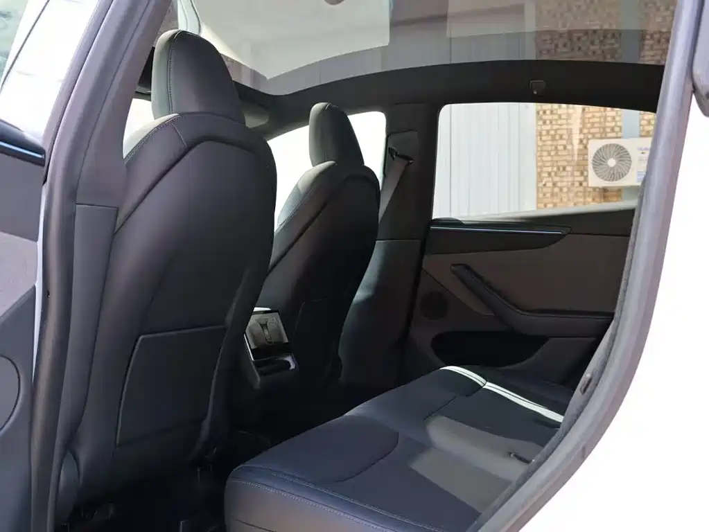 Tesla Model Y — миниатюра 7