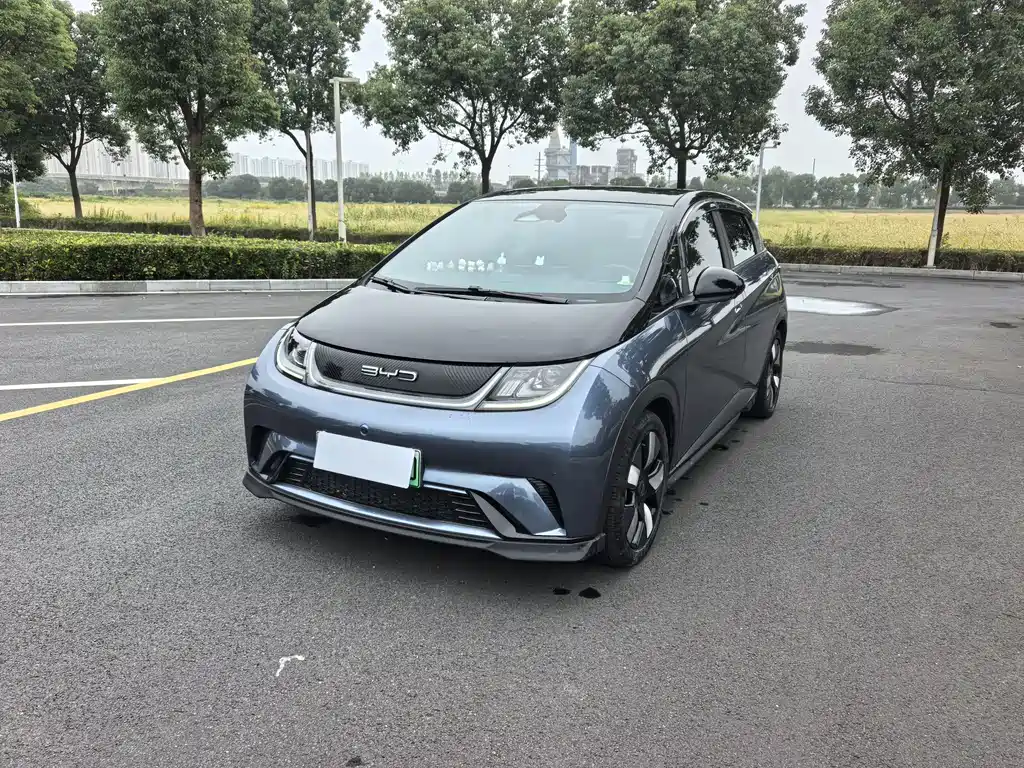 BYD Dolphin