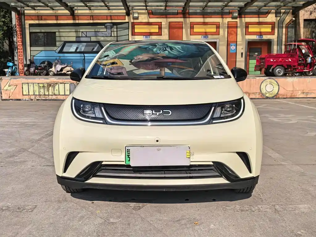 BYD Dolphin — миниатюра 9