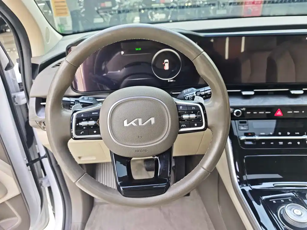 Kia Carnival — миниатюра 6