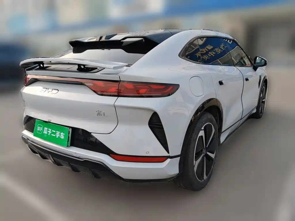 BYD L EV — миниатюра 6