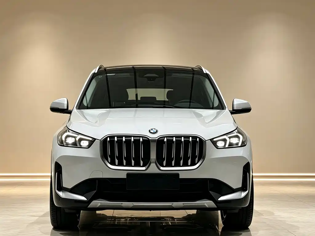 BMW X1 — миниатюра 2