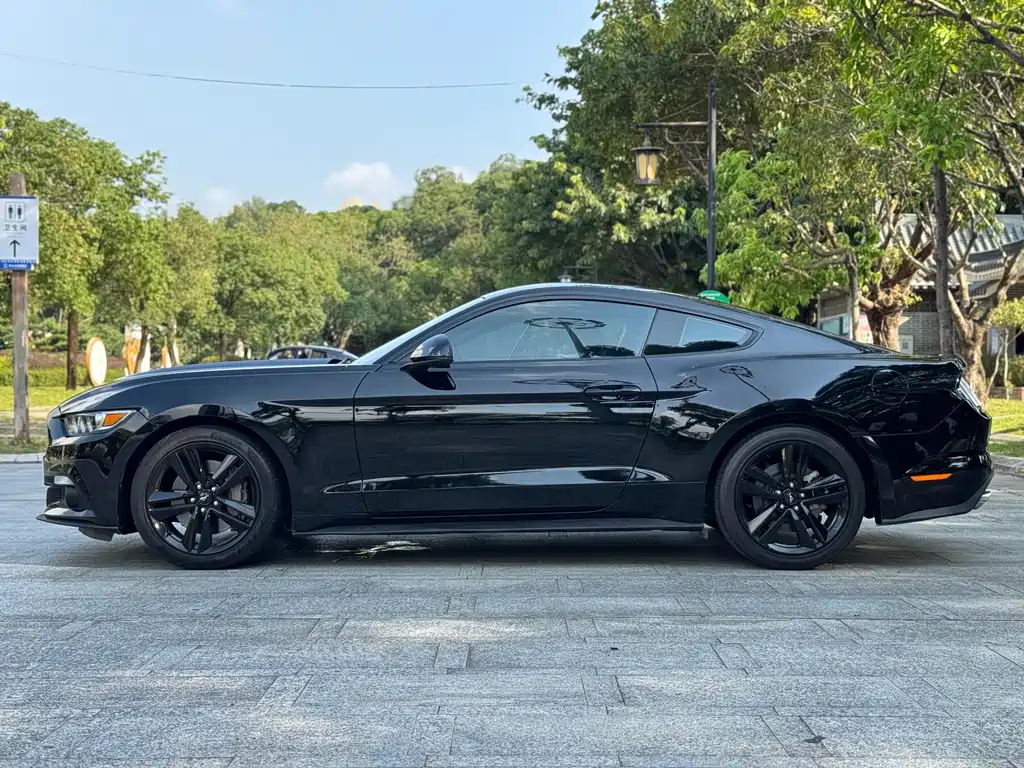 Ford Mustang — миниатюра 29