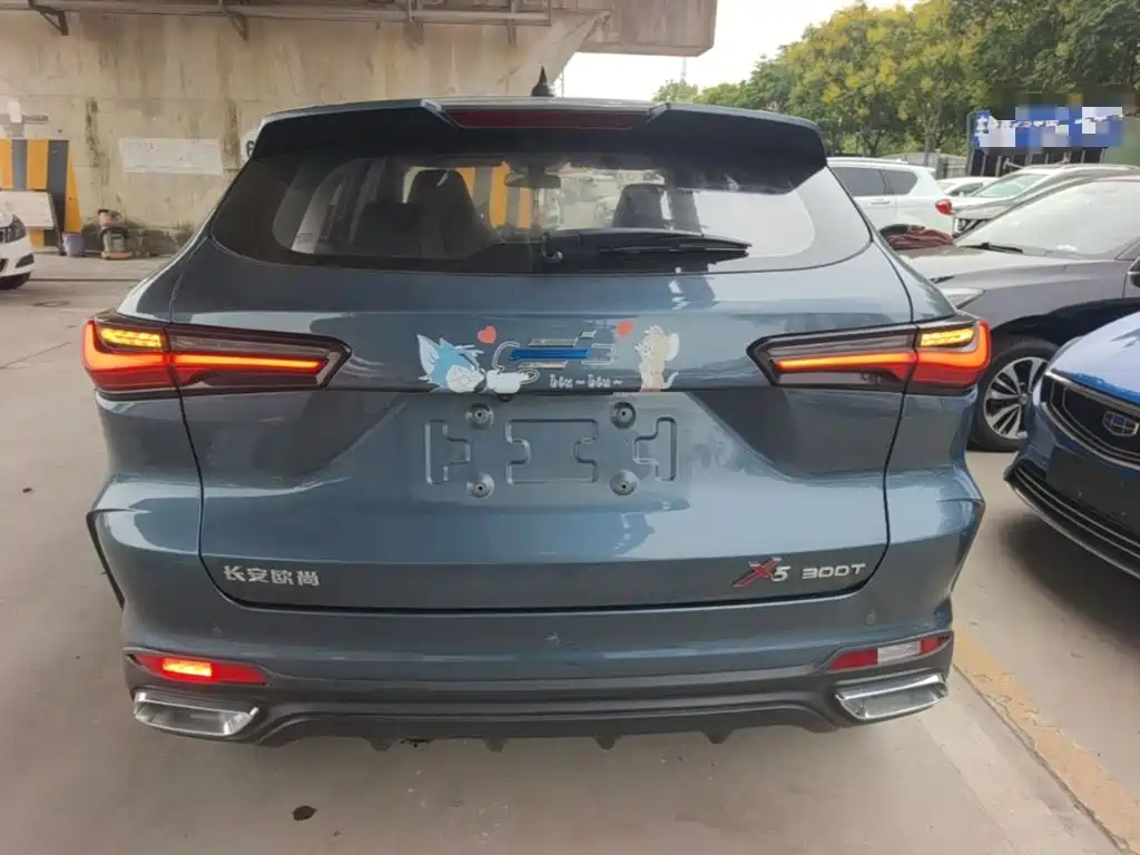 Oshan Oushang X5 — миниатюра 6