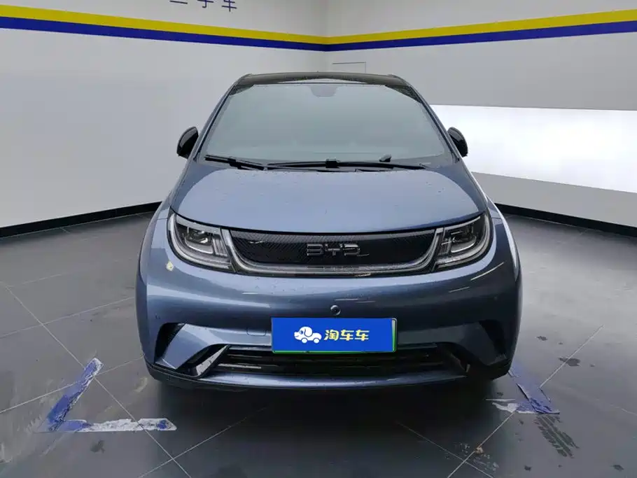 BYD Dolphin — миниатюра 2