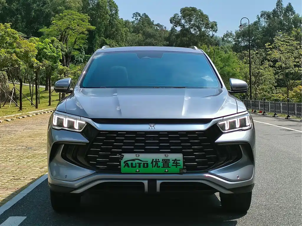 BYD Pro New Energy — миниатюра 2