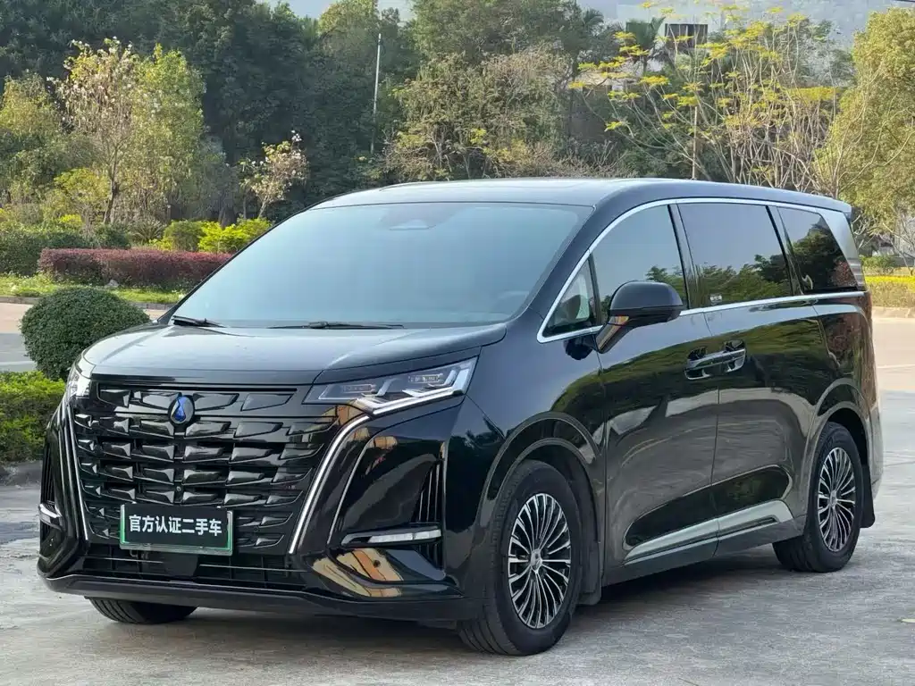 Denza Denza D9